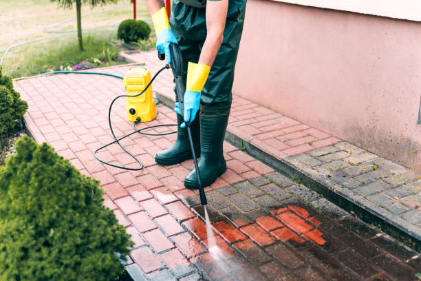 Best Sidewalk and Walkway Cleaning  in Ddanelle, AR