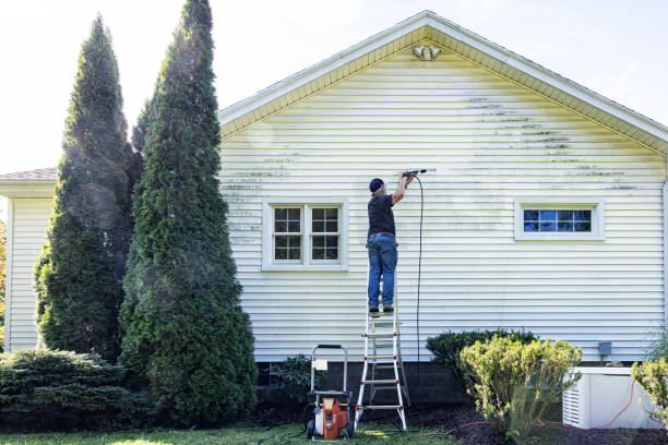 Best Fence Cleaning  in Ddanelle, AR